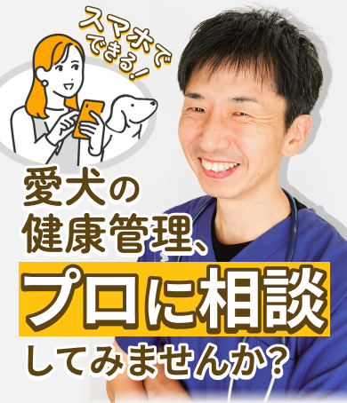 スマホでできる！愛犬の健康管理、プロに相談してみませんか？